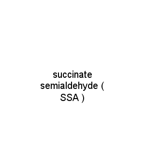 succinate semialdehyde ( SSA )